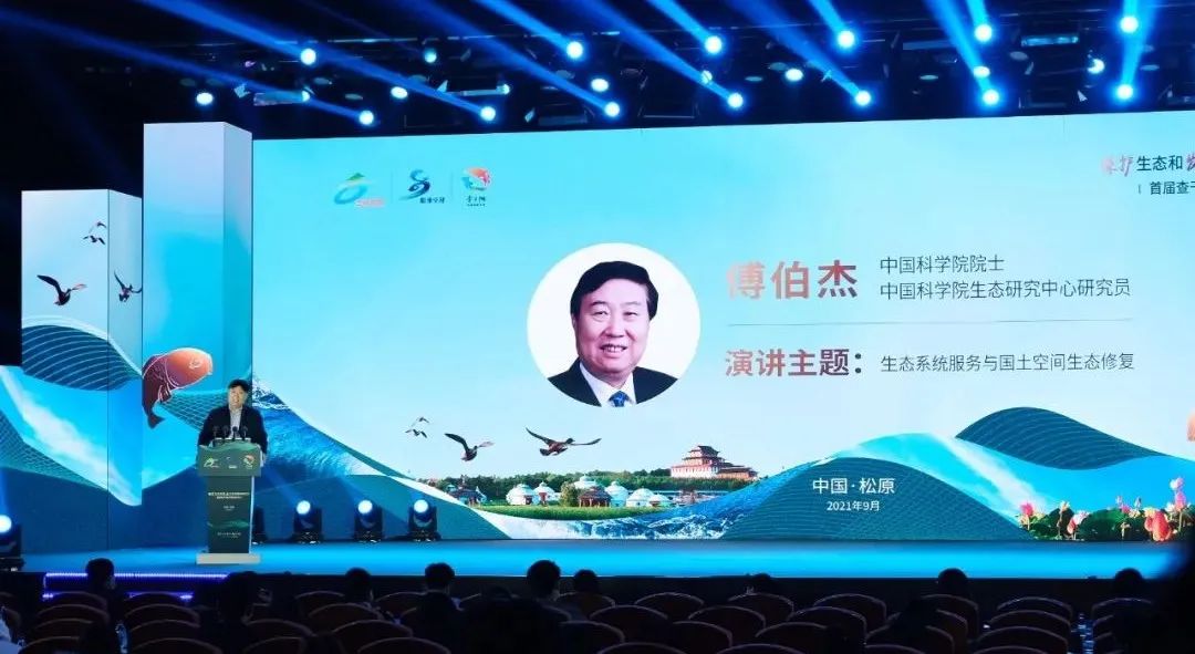 image003.jpg image003.jpg