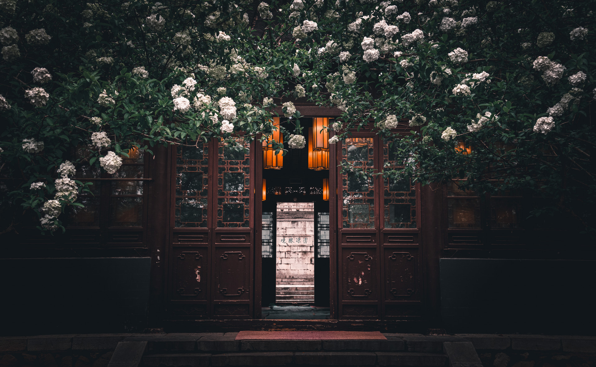 攝圖網_501593806_banner_春天南京清涼山崇正書院的植物繡球花與古代建筑(企業商用).jpg 攝圖網_501593806_banner_春天南京清涼山崇正書院的植物繡球花與古代建筑(企業商用).jpg