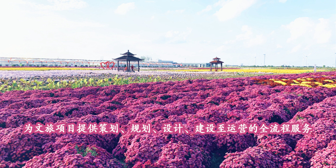 文旅項目開發服務