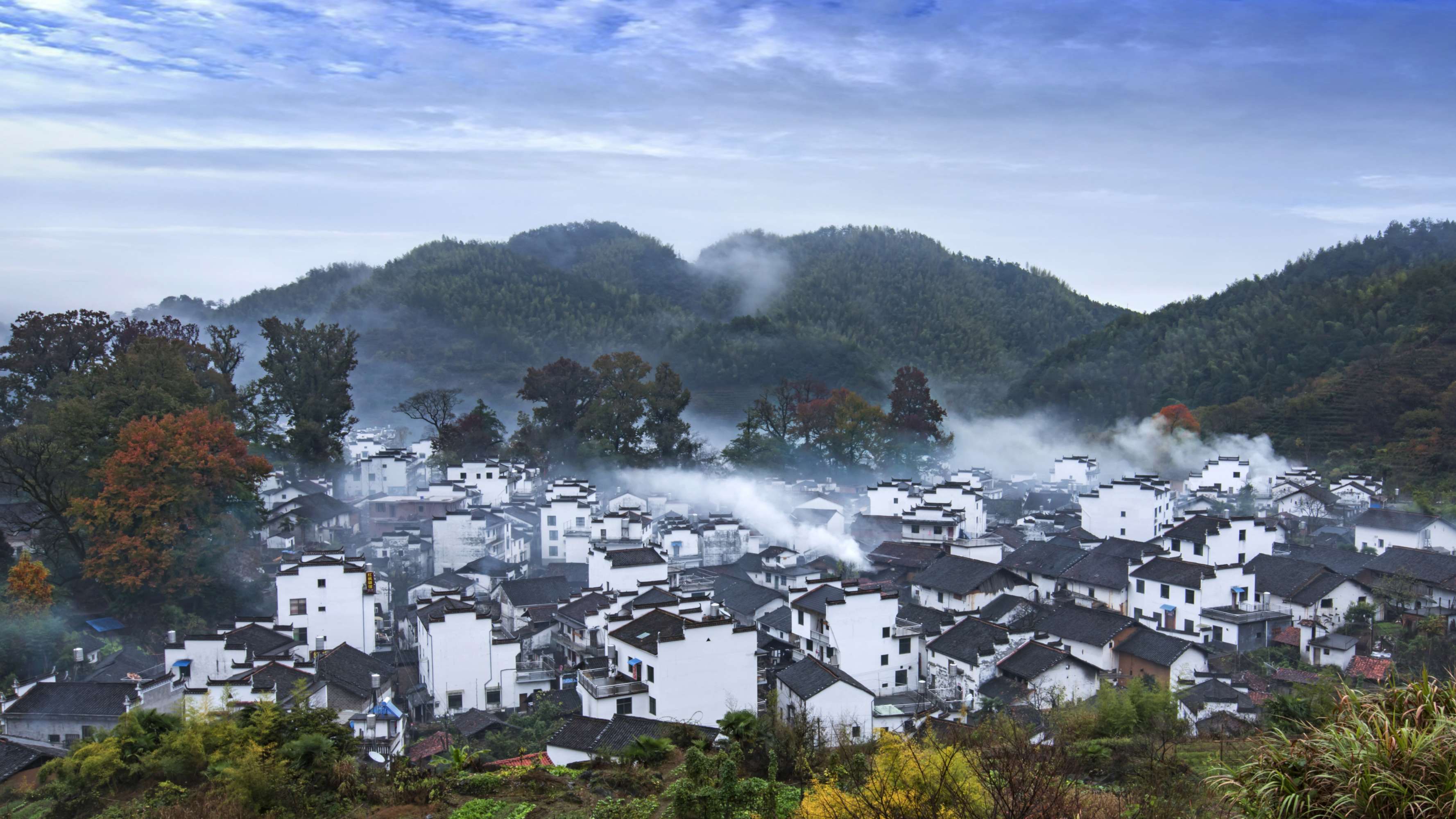 image005.jpg image005.jpg