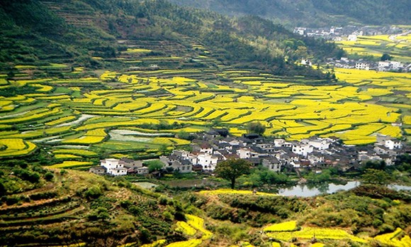 image006.jpg image006.jpg